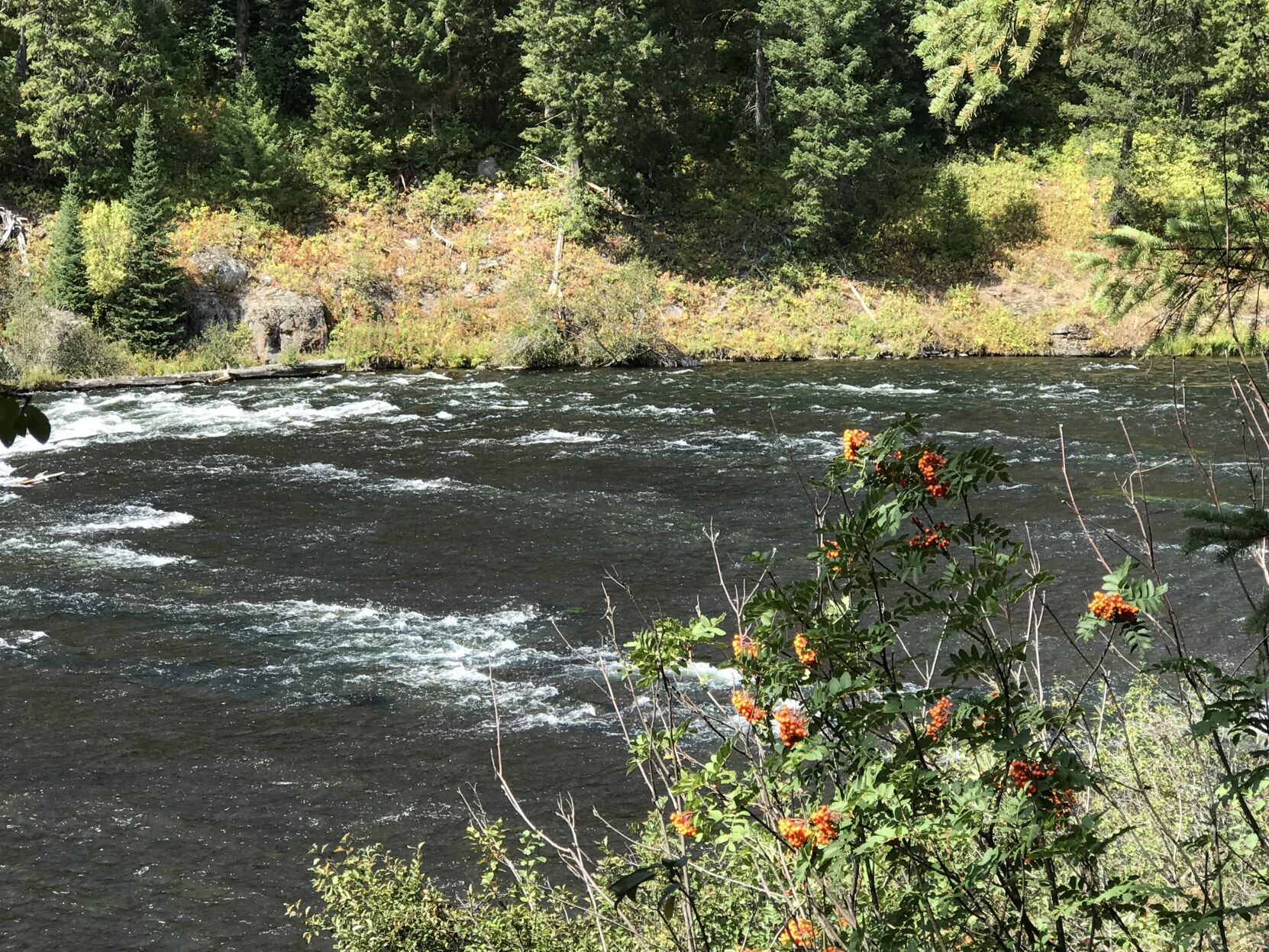 Fall at Mesa